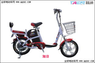 2013年踏浪电动车新车上市 简易篇